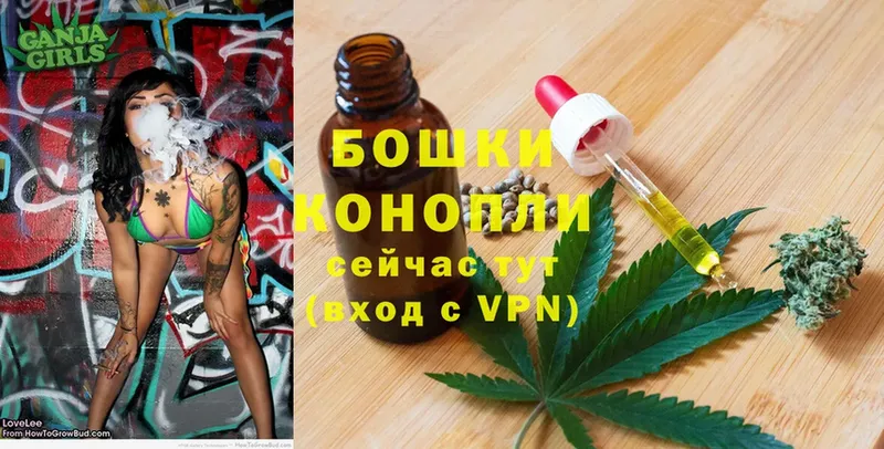 Шишки марихуана SATIVA & INDICA  купить   Прокопьевск 